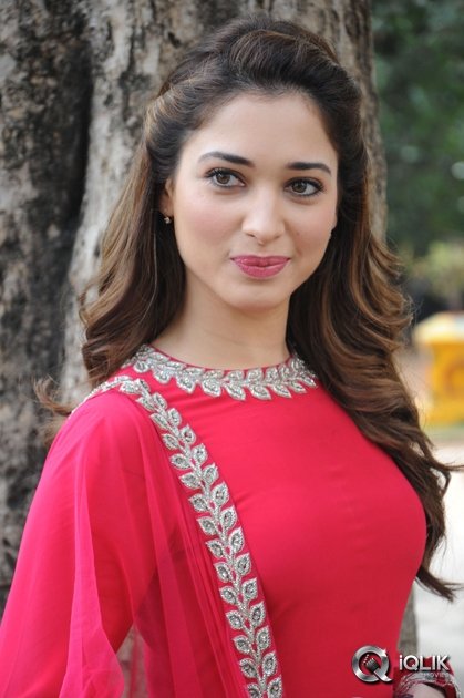 Tamannah-at-Bengal-Tiger-Movie-Press-Meet